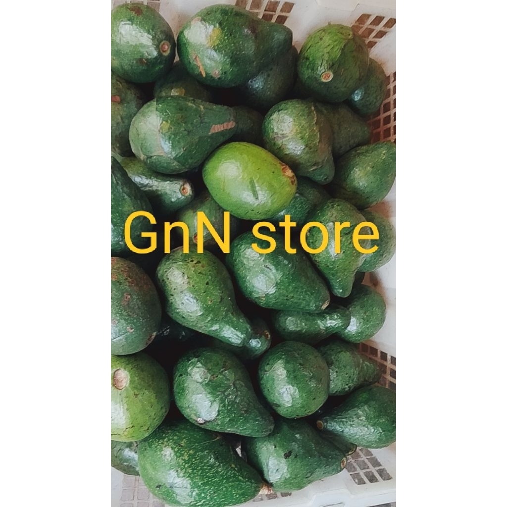 

1/2kg alpukat alpuket lima ratus gram(readystok)