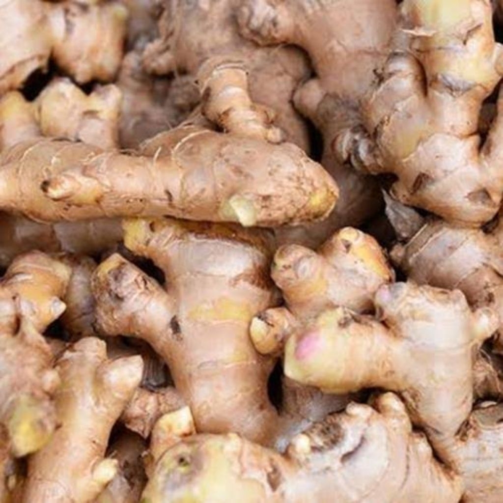 

Jahe Segar Lereng Muria