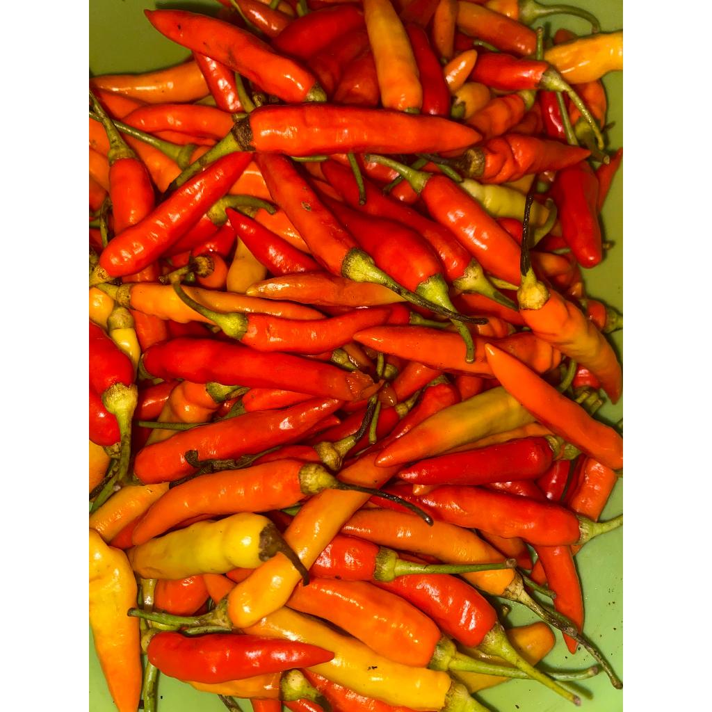 

Cabai Rawit Merah Segar 250g / 500g | Pedas Alami | Cocok untuk Sambal & Masakan