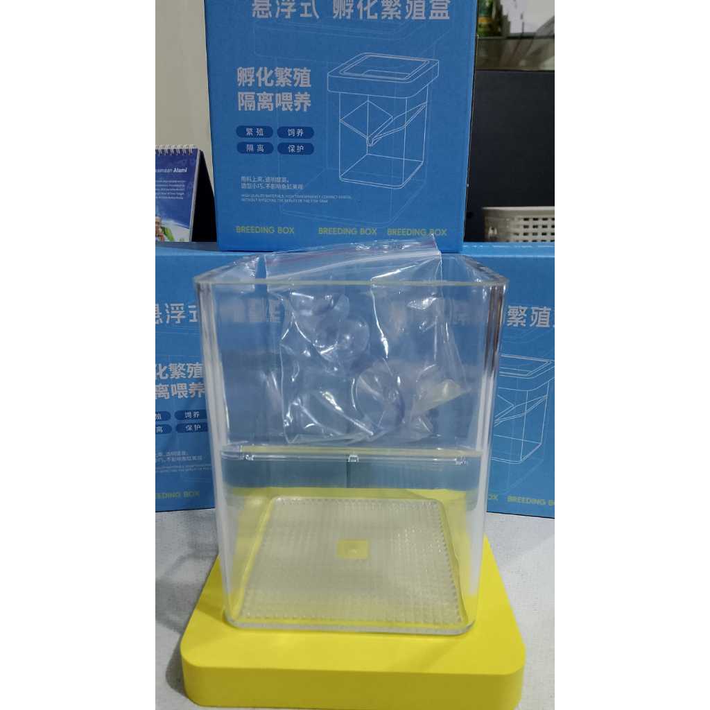 BREEDING BOX / KARANTINA IKAN GUPPY PLATY SWORDTAIL KUALITAS PREMIUM APUNG