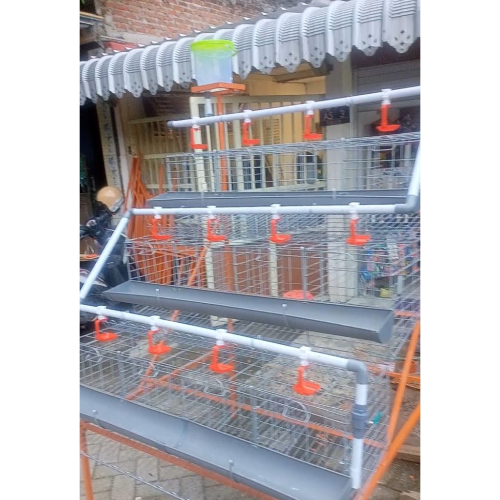 Kandang Batre Galvanis Ayam Petelur Fullset Komplit Kapasitas 24 Ekor