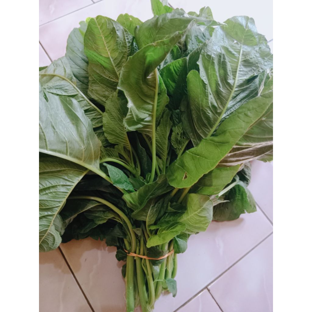 

PROMO SATU IKAT BAYAM FRESH LANGSUNG PETIK DARI KEBUN ANTI PESTISIDA