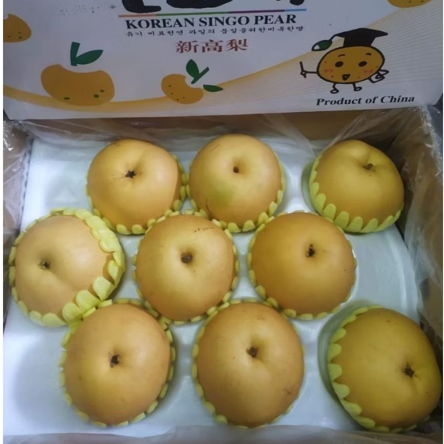

Pear Singo Korea Import Dari China 1 Kg