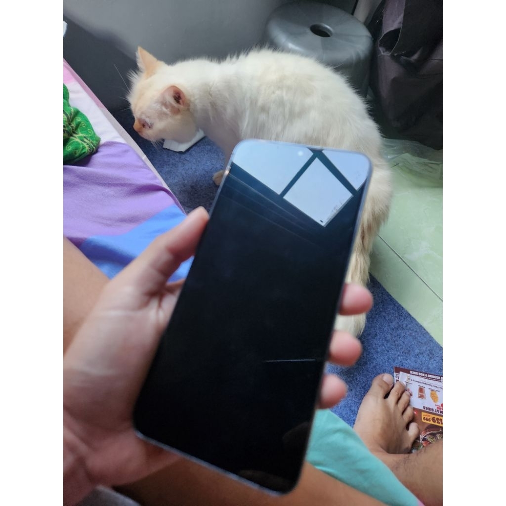 LCD Samsung S22+