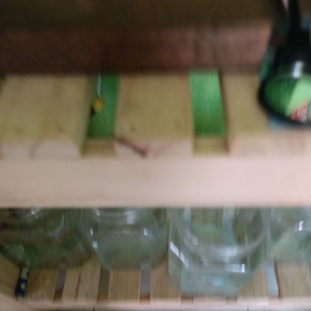 Rak Kayu Ikan cupang