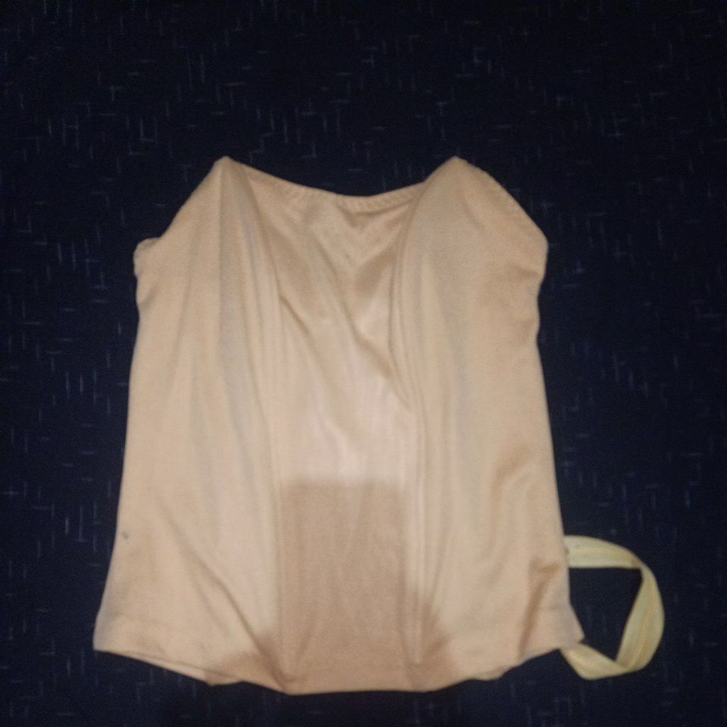 longtorso Bustie preloved