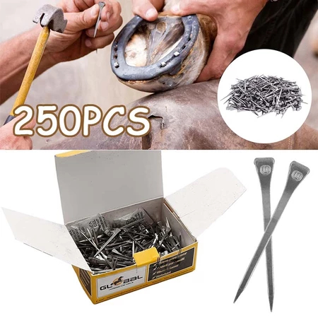 250 Pcs E3 Paku Sepatu Kuda Paku Kuda Pacu Hingga Tunggang Paku Sepatu Kuda Paku Kuda Yuan Import St