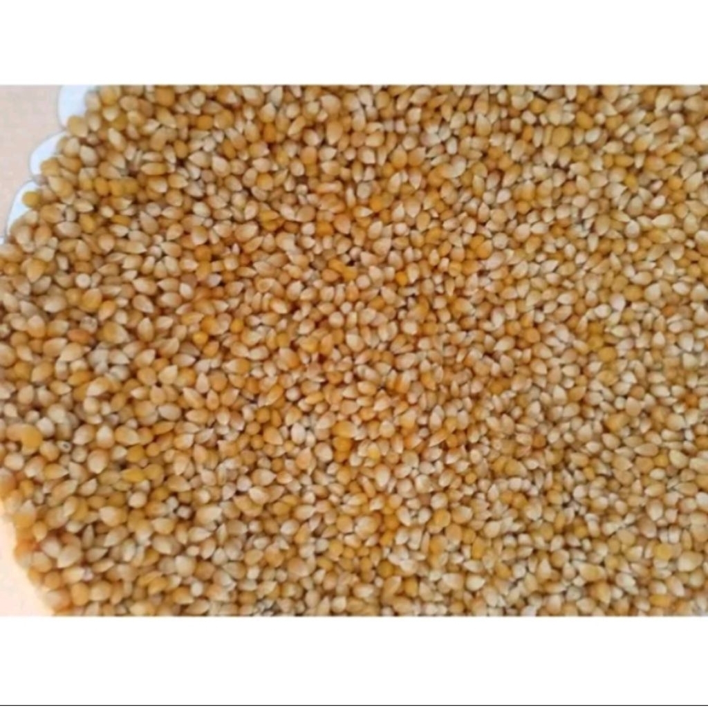 

jagung popcorn 500 g-1000g