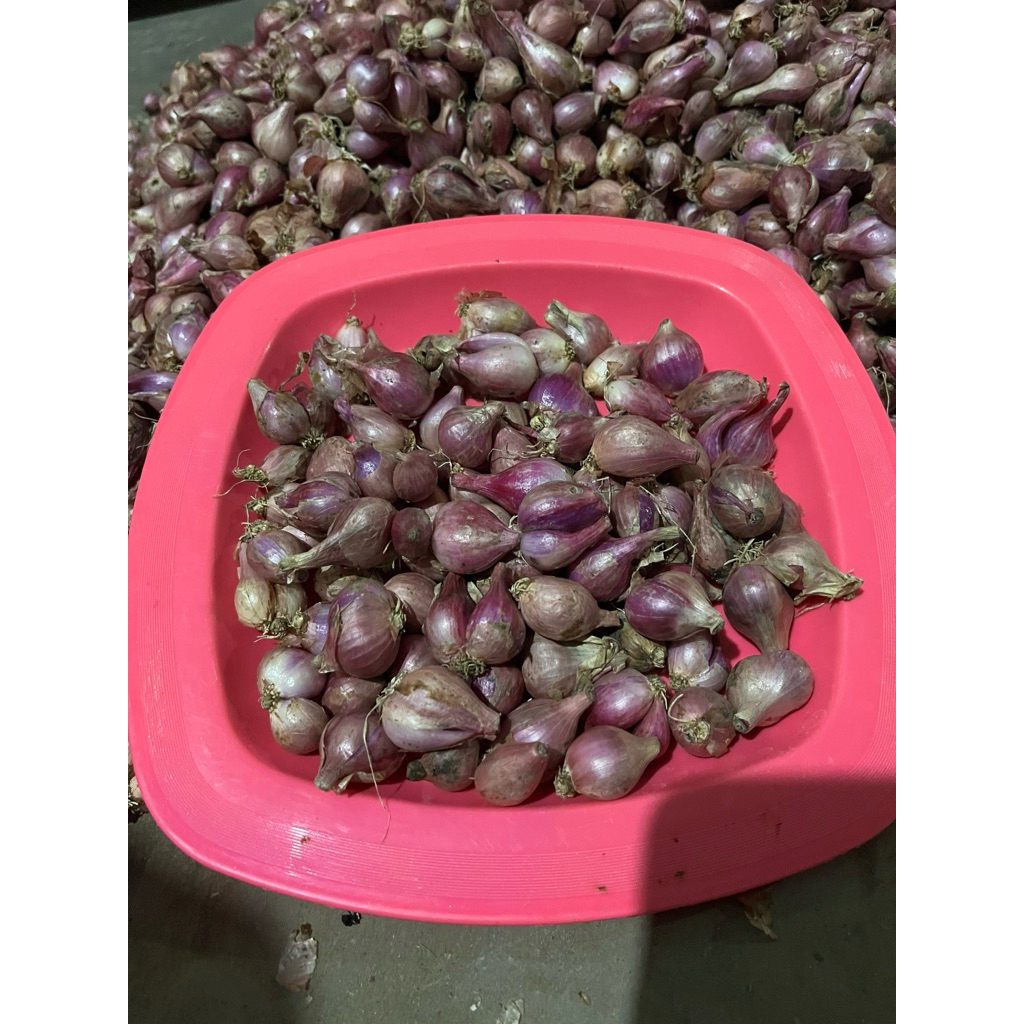

Bawang Merah size tanggung kecil kemasan 500gr