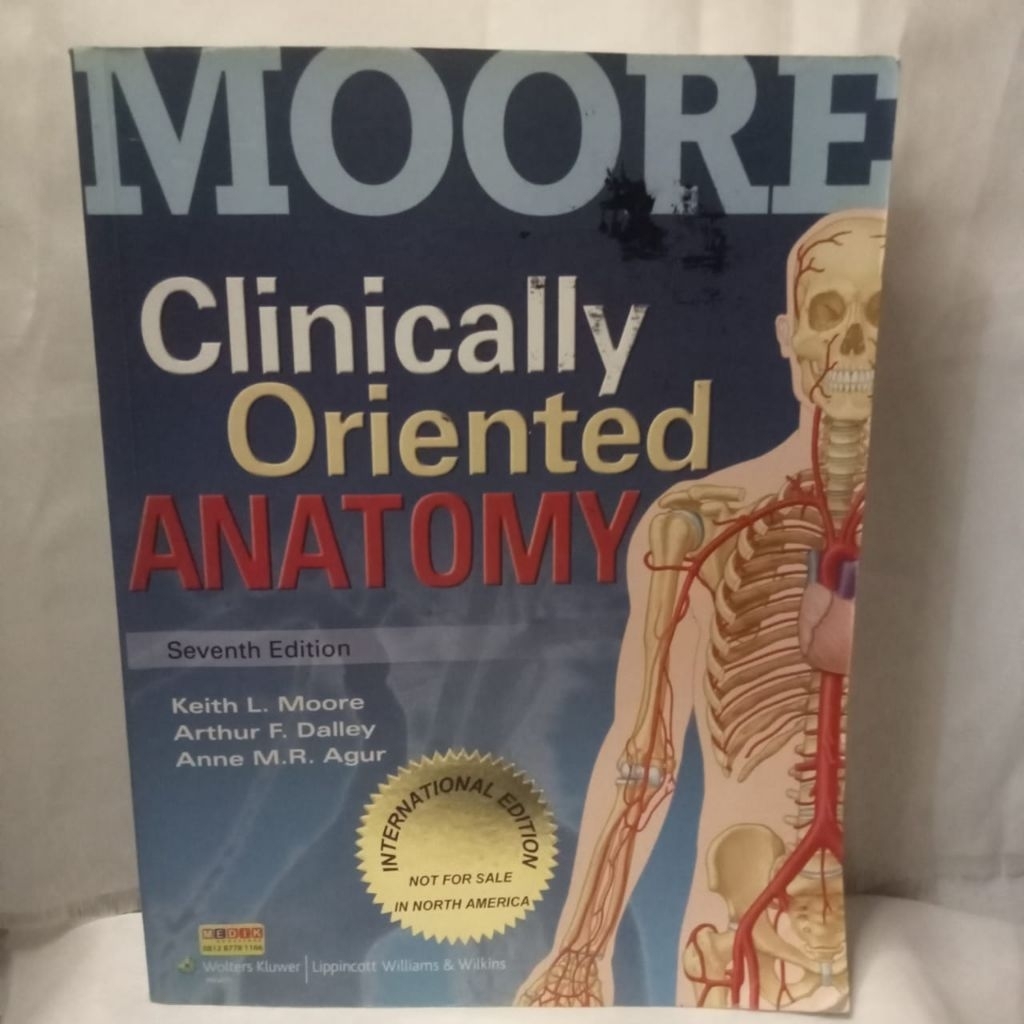 buku moore clinically oriented anatomy original bahasa Inggris