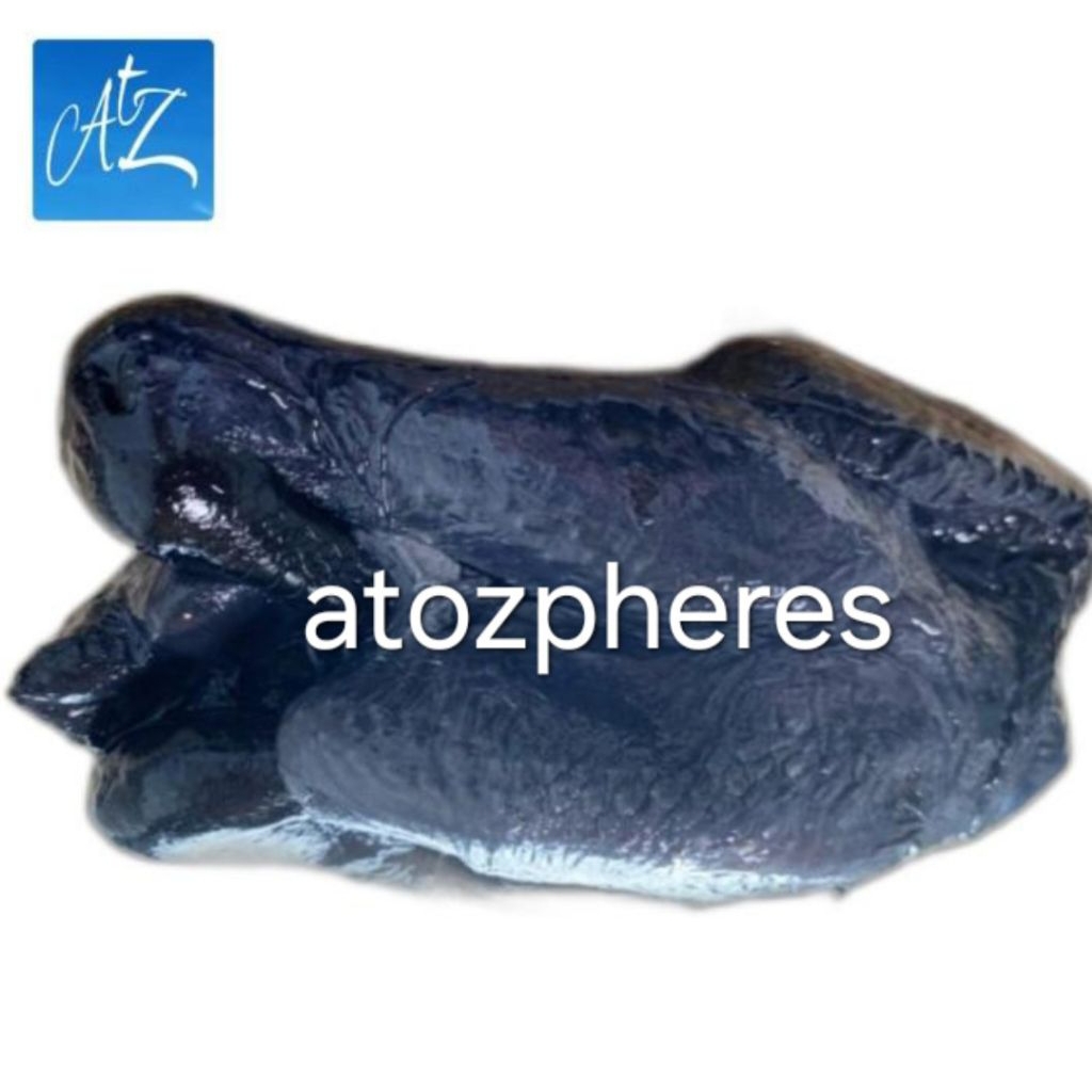 Daging ayam hitam cemani utuh bersih