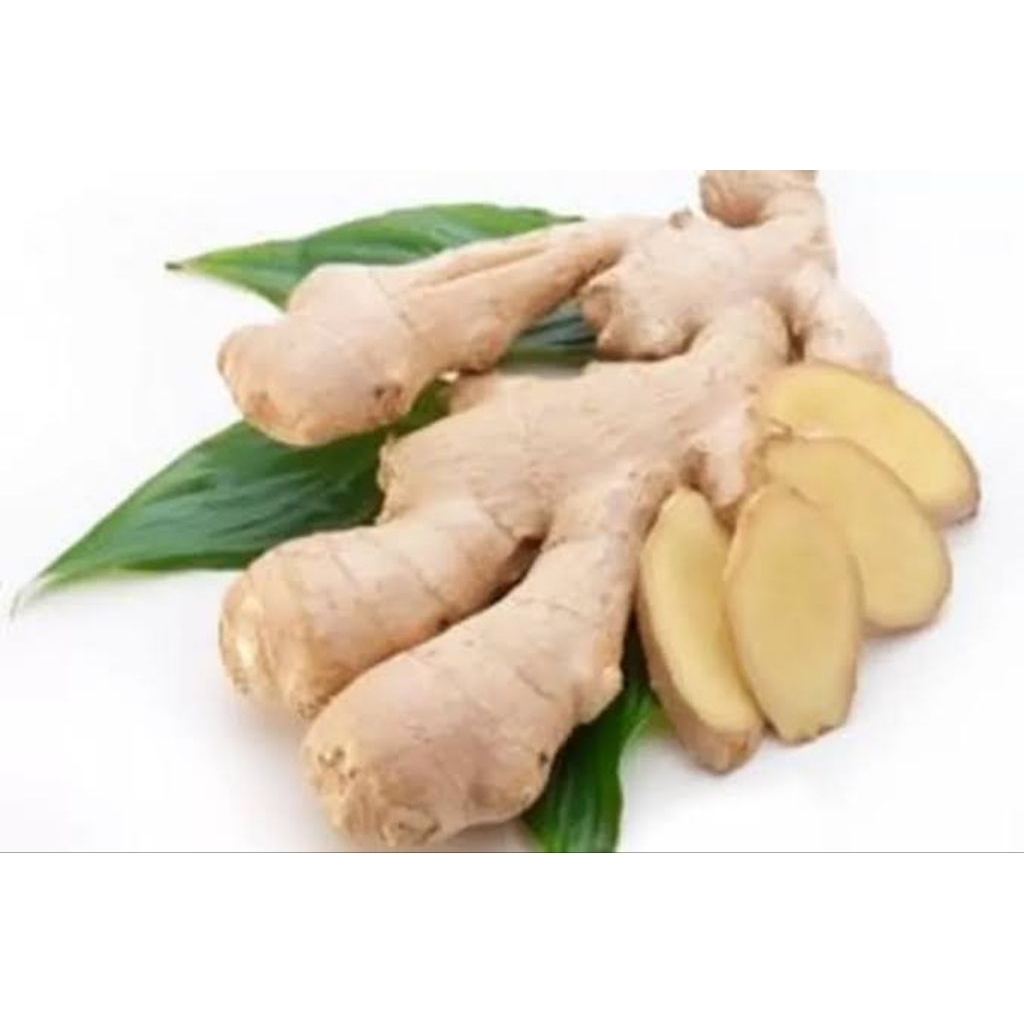 

[ promo ] Kunyit putih terbaik kemasan 1kg Kunyit putih atau di sebut kunyit temu terlaris