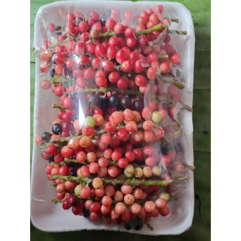 

buah buni buah huni segar