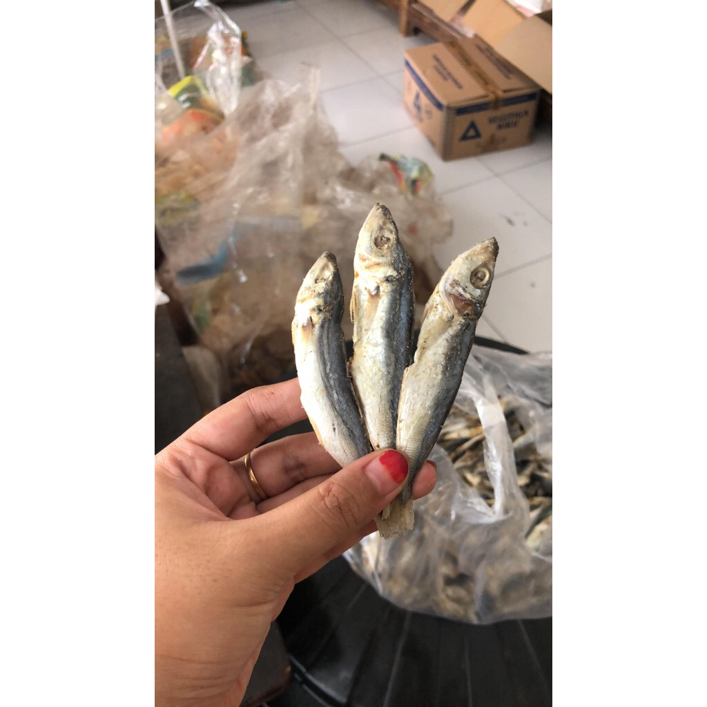 

ikan asin