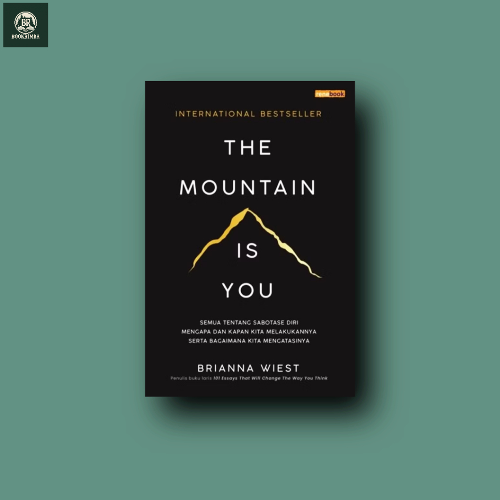 The Mountain Is You - Brianna wiest