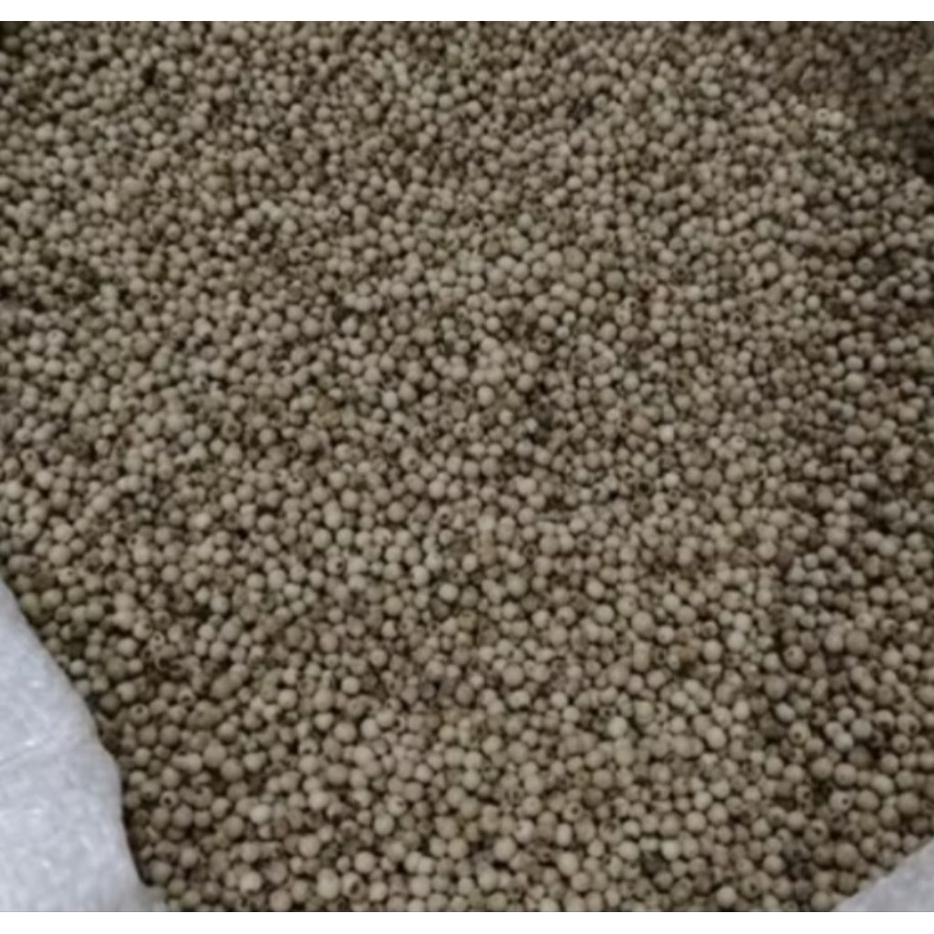 LADA PUTIH/MERICA 1 KG