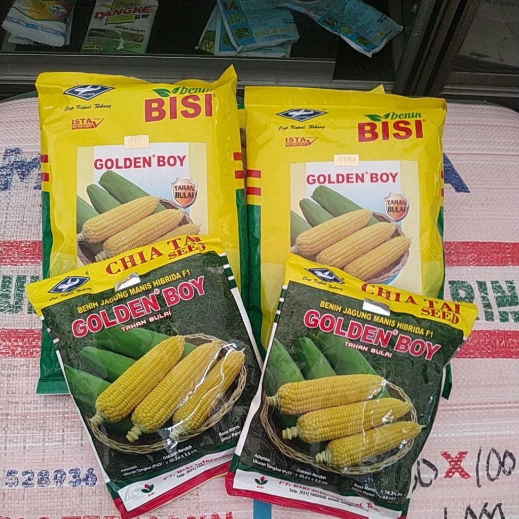 Golden Boy benih jagung manis GOLDEN BOY 250gr