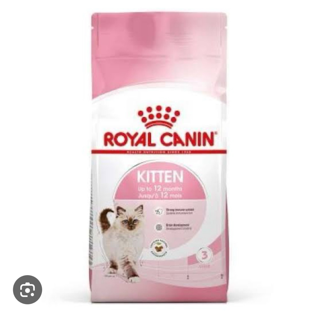 Royal canin mainecoon kitten