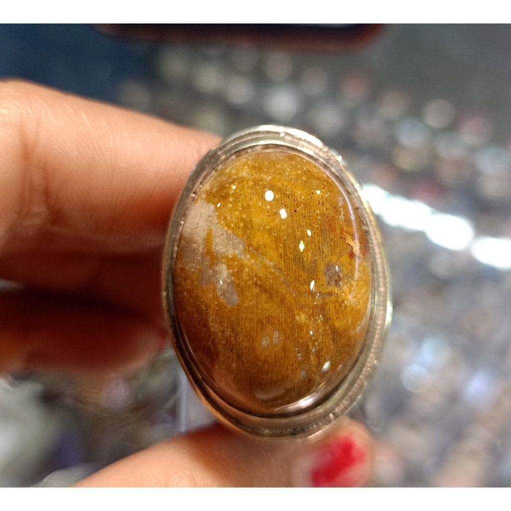 Cincin batu Fosil kelor(natural)