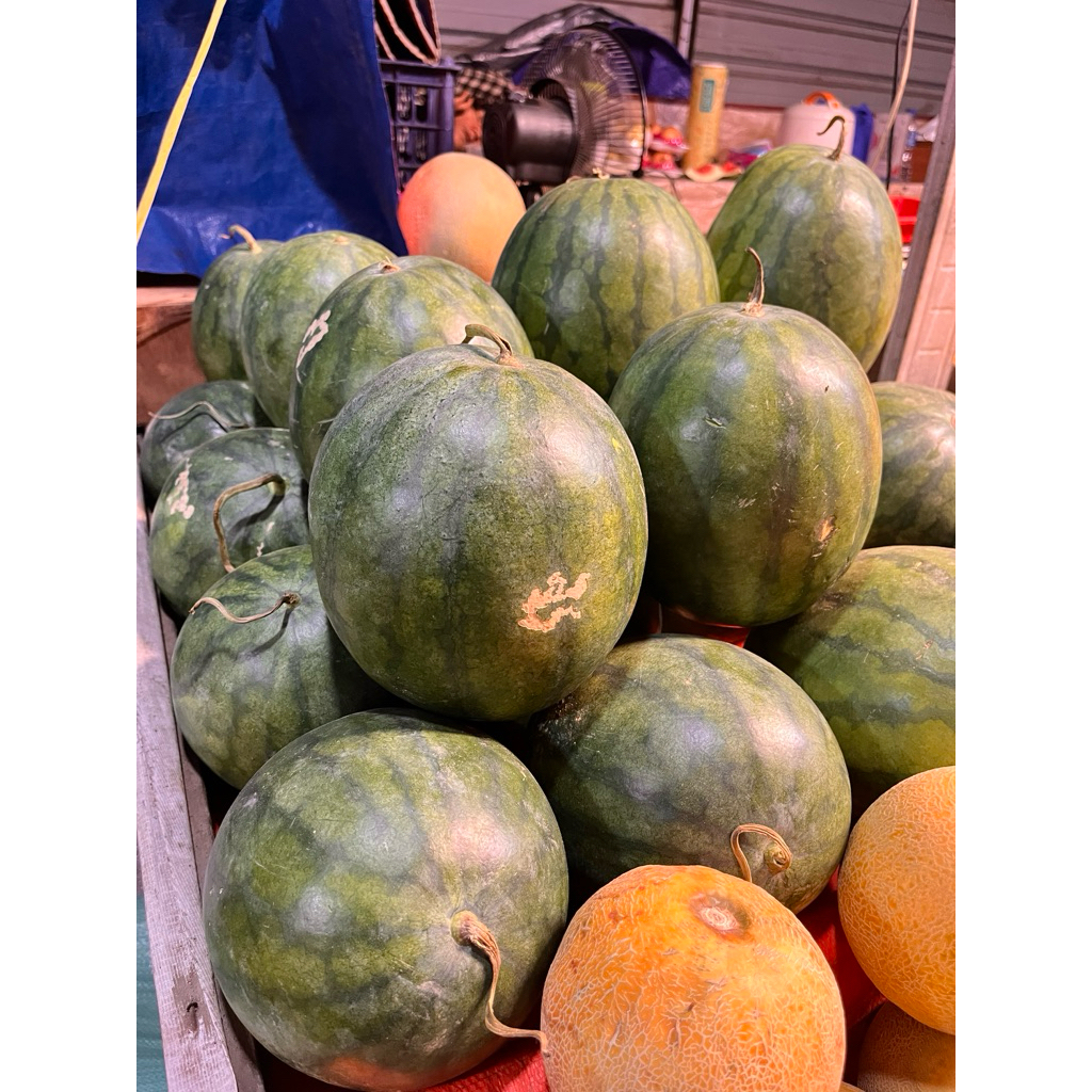 

Semangka Merah Manis