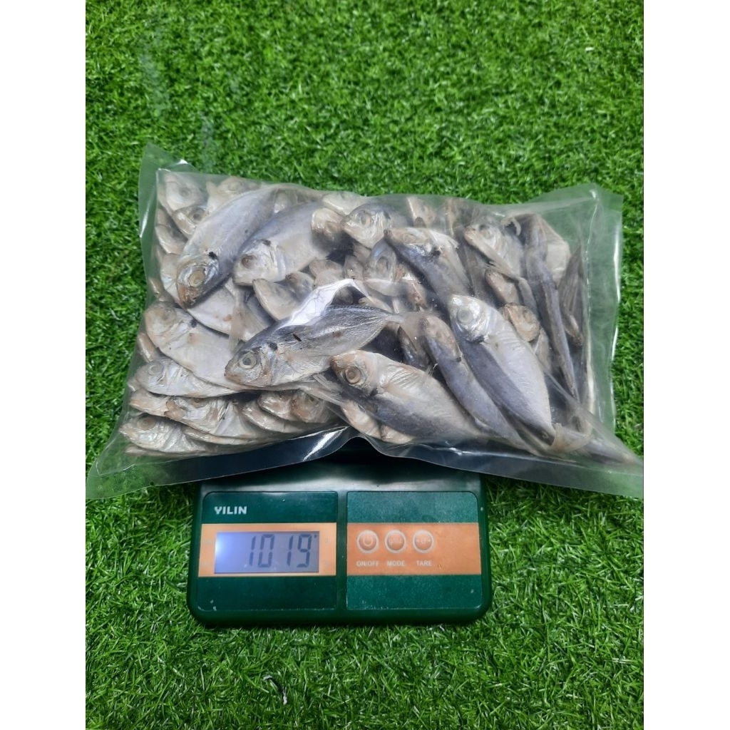 

Ikan Asin Selar 1Kg | Premium Size 10cm | Kering Gurih Siap Masak