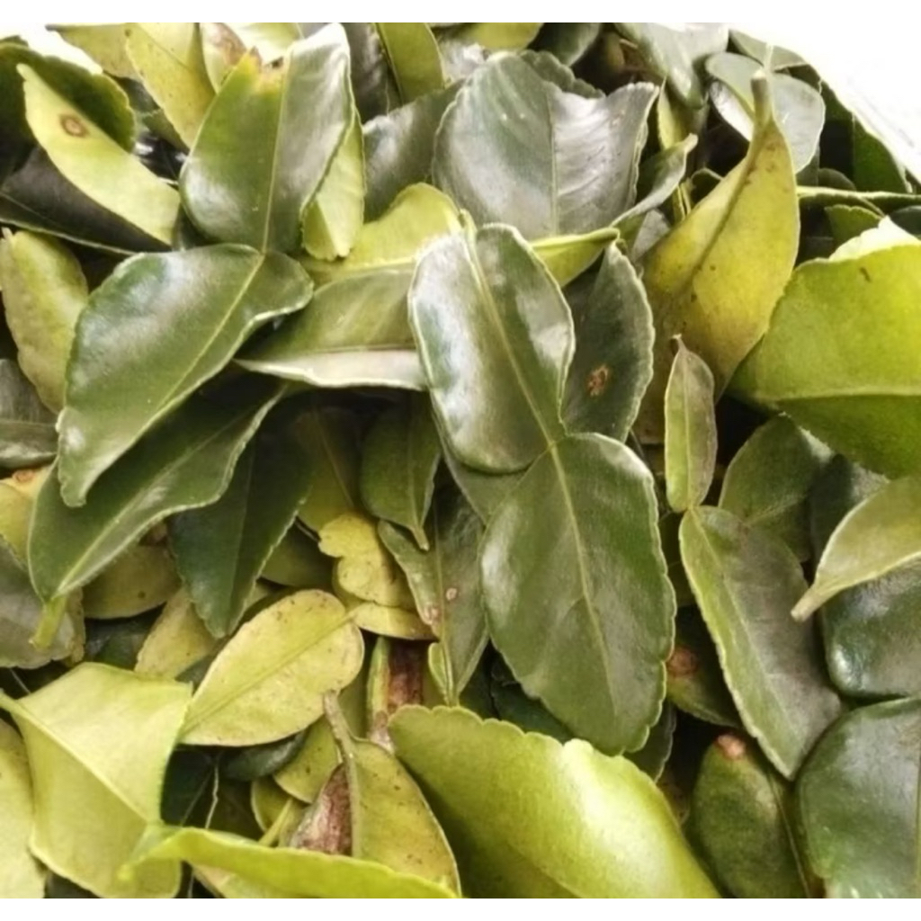 

Daun Jeruk Purut Pilihan Fresh 1KG