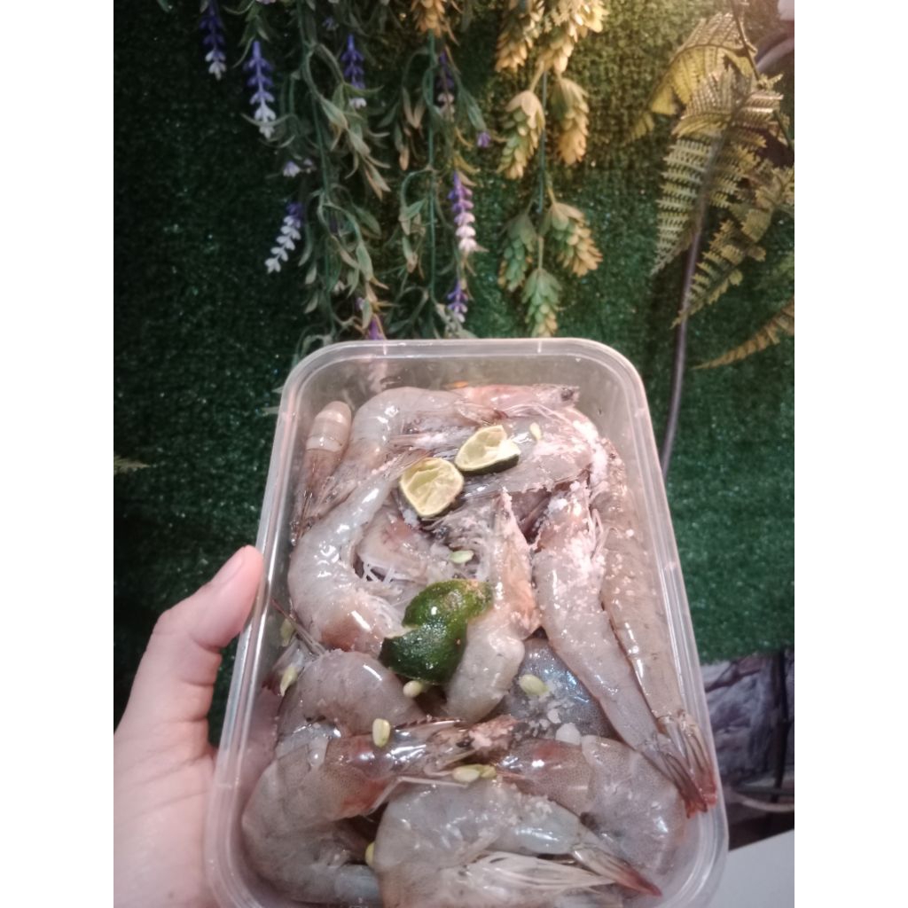 

Udang Frozen Fresh