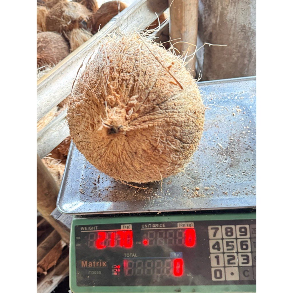 

KelapaTua JUMBO ukuran 2KG