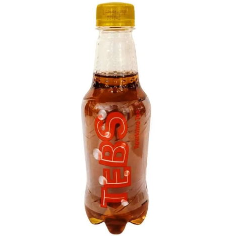 TEBS BOTOL 300ml [ Pcs ]