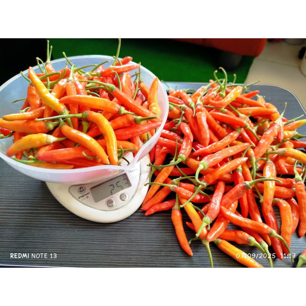 

cabai, cabe rawit merah fresh