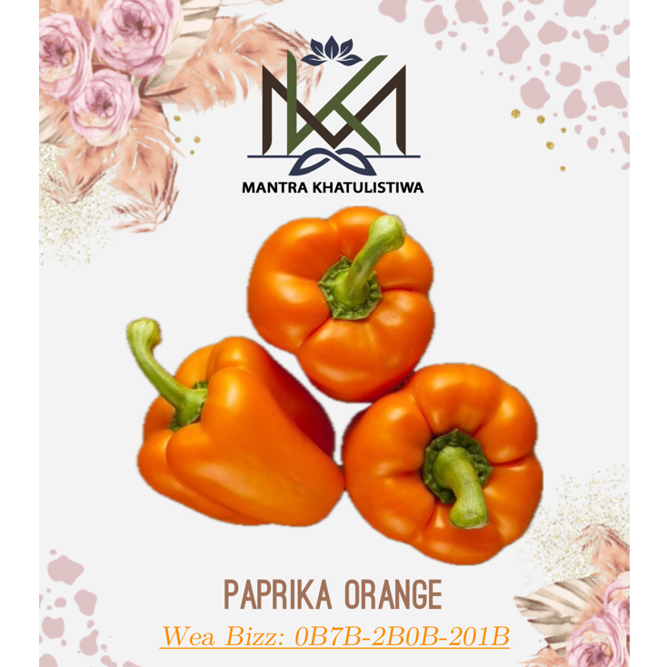 

PAPRIKA ORANGE CABE PAPRIKA CABAI PAPRIKA ORANGE