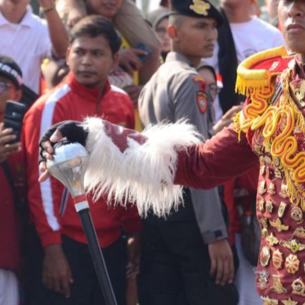 scoon bulu bulu tangan mayoret | bulu panjang aksesoris drumband