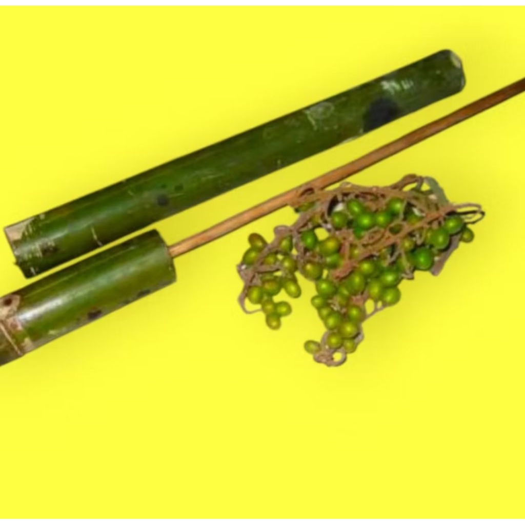 Mainan jadul pletokan/pistol bambu