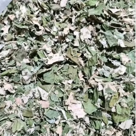 

Daun Bidara Kering 1 KG