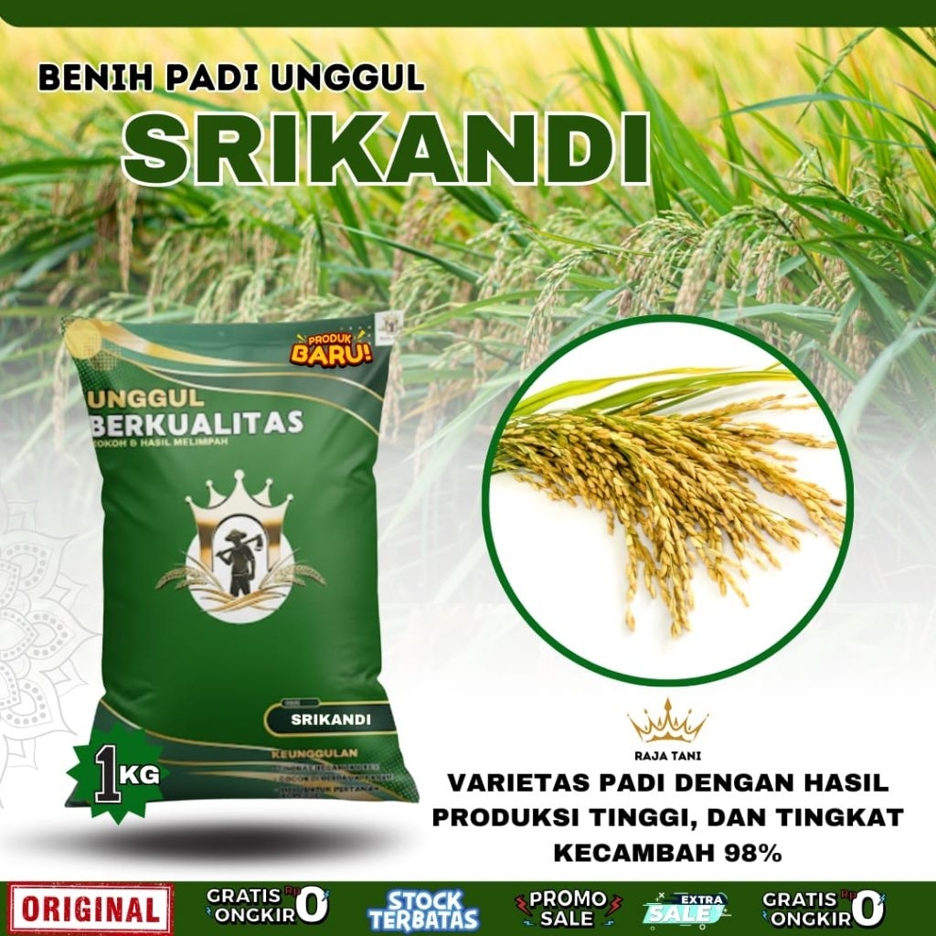 BENIH PADI BIBIT PADI SRIKANDI ORIGINAL KEMASAN 1KG BERKUALITAS