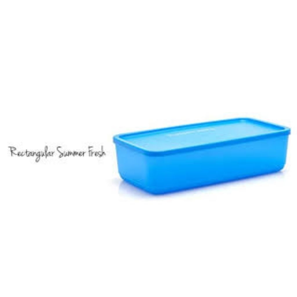 Toples 1Set Paket Panjang Tempat Kue Lauk Serbaguna