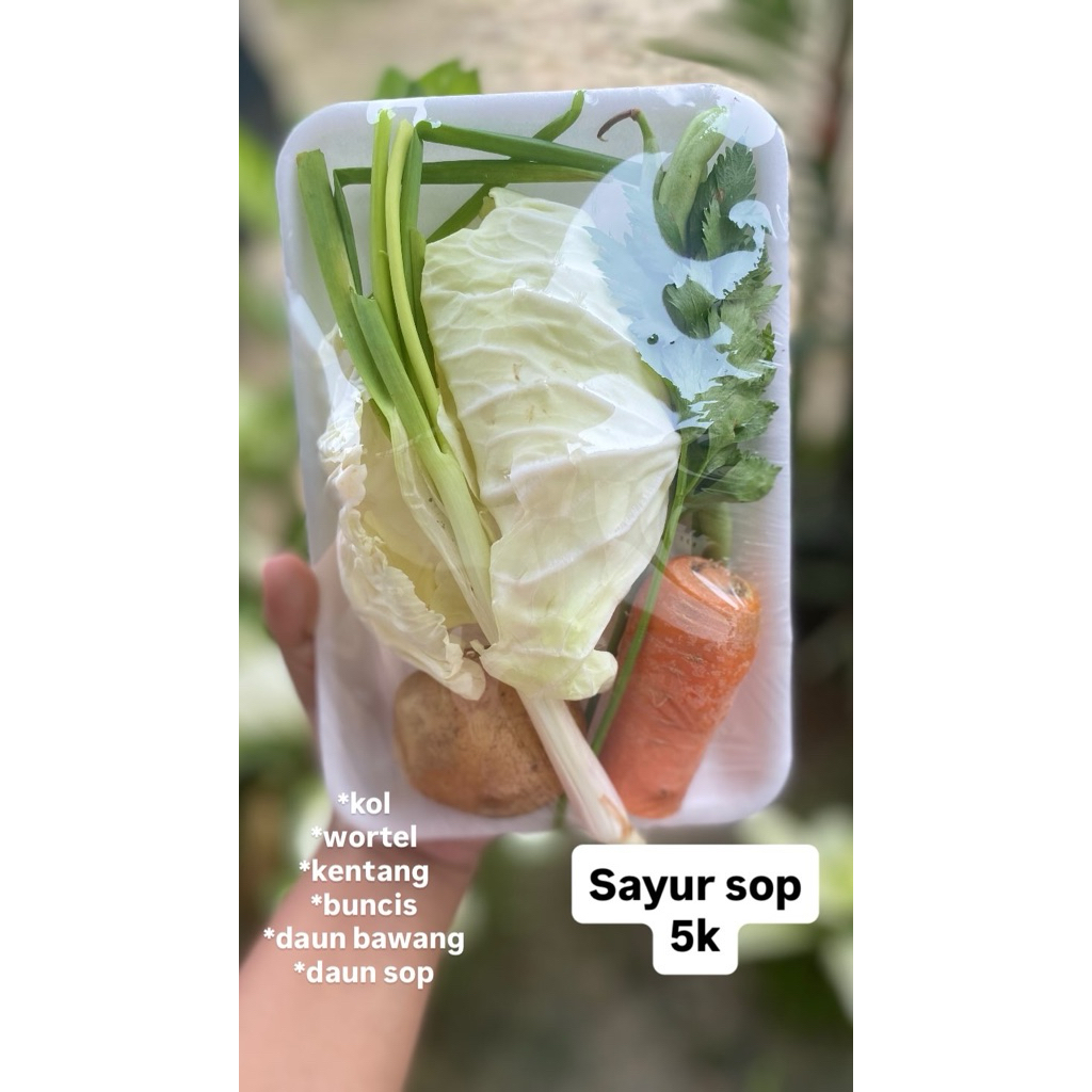 

paket sayur sop