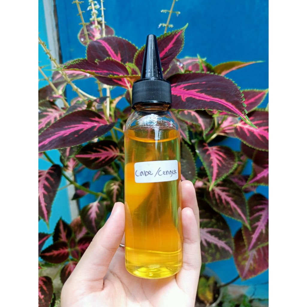 Essen biang murni cabe cengek dan cabe merah.