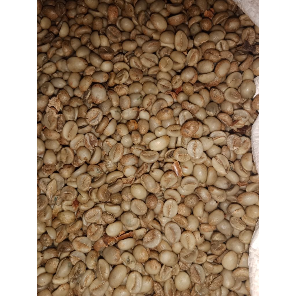 

Kopi Robusta Temanggung (green bean) 1kg