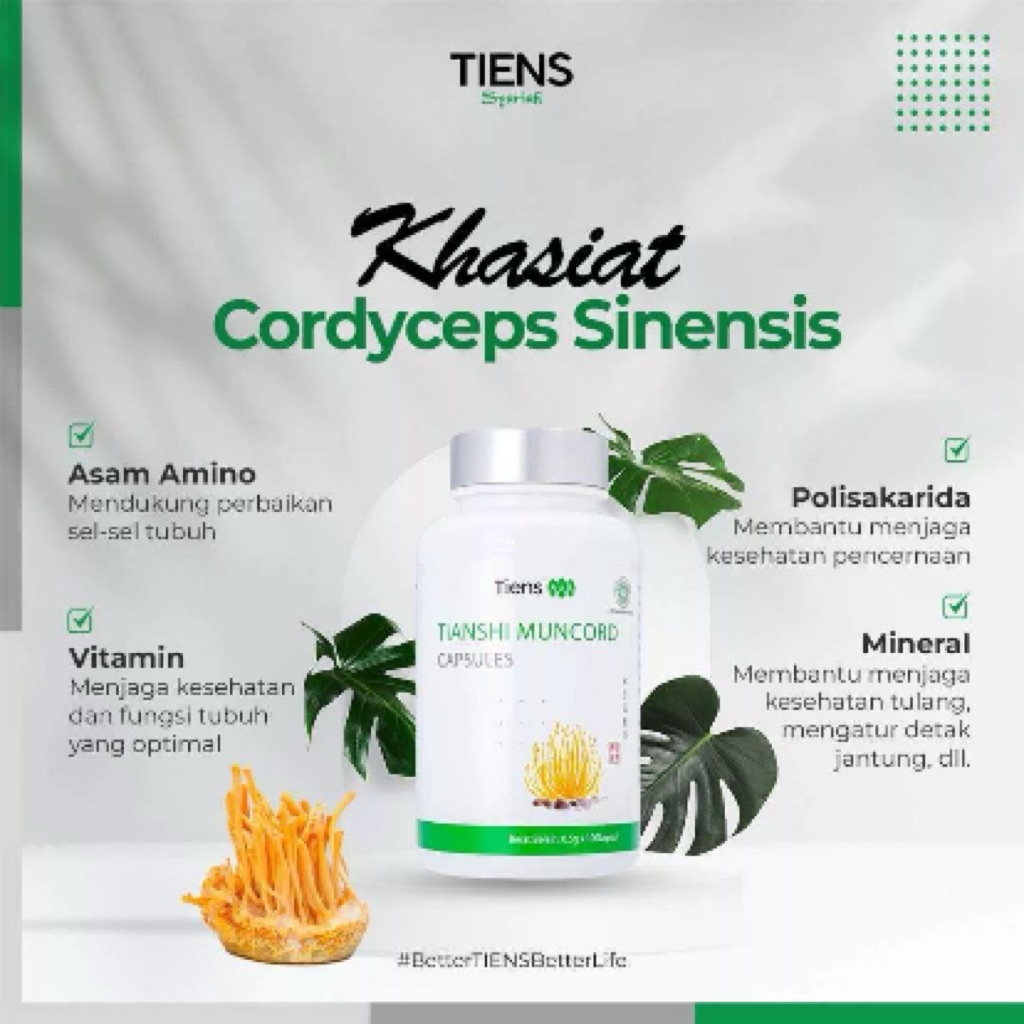 Nooisela Munchord Cordyceps Tiens 100 Kapsul & Tiens Cordyceps Vitalitas 100% Original Suplemen