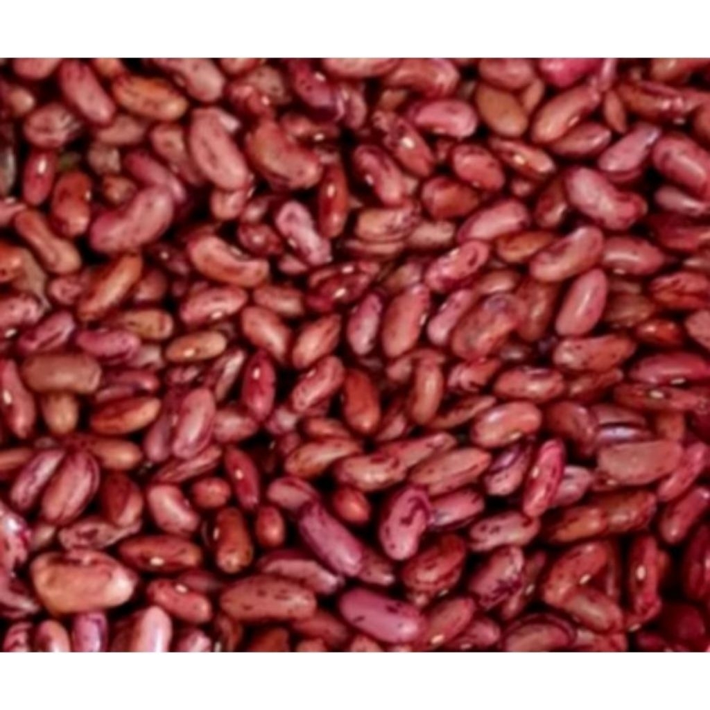 

kacang merah besar /kacang merah kering besar kualitas super