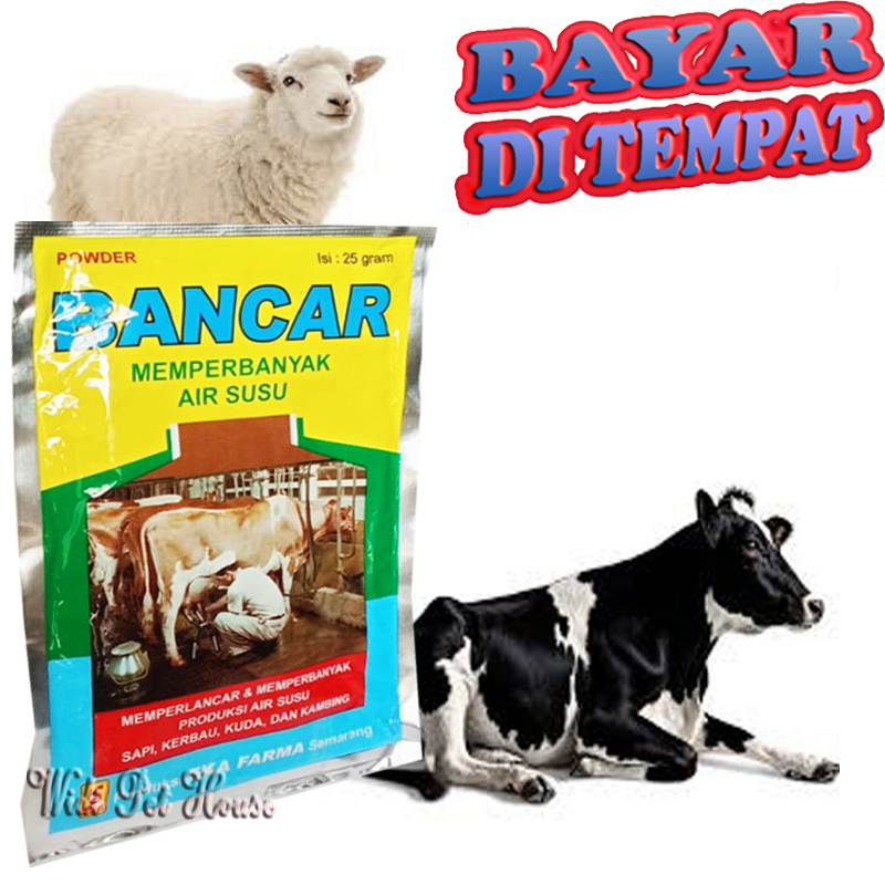 Vitamin Penambah Air Susu Sapi Kambing Kerbau Domba BANCAR Untuk Hewan Perah