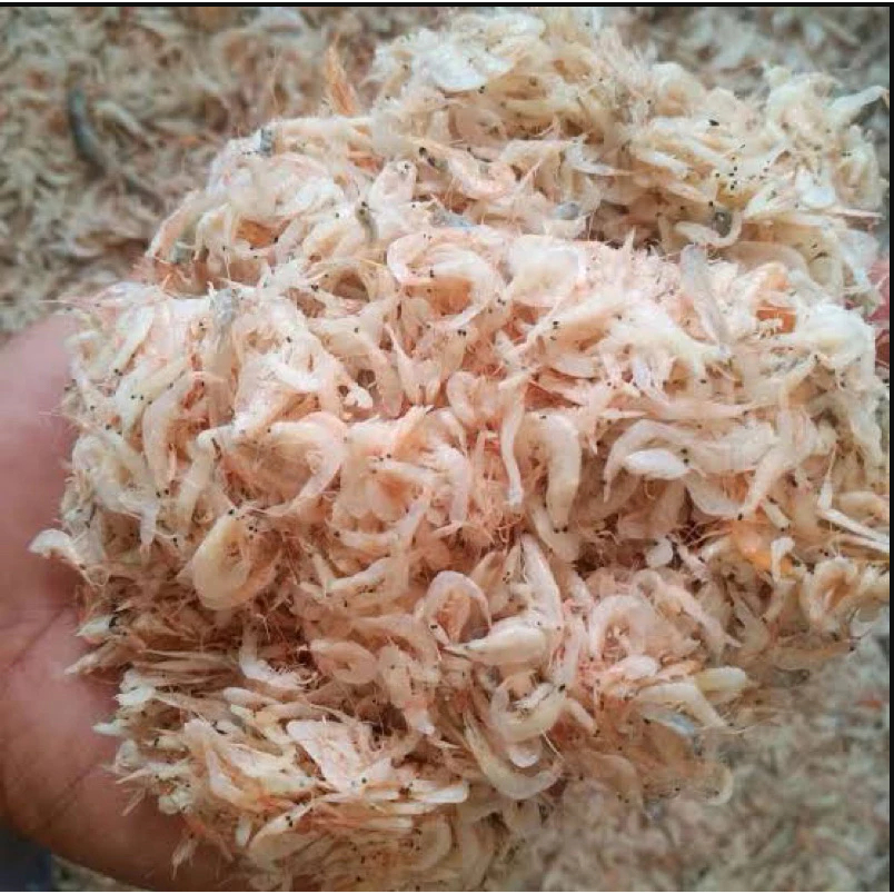 

ikan asin udang rebon kasar super/ hepi kasar 500gram/Udang Rebon Jeruk Kering