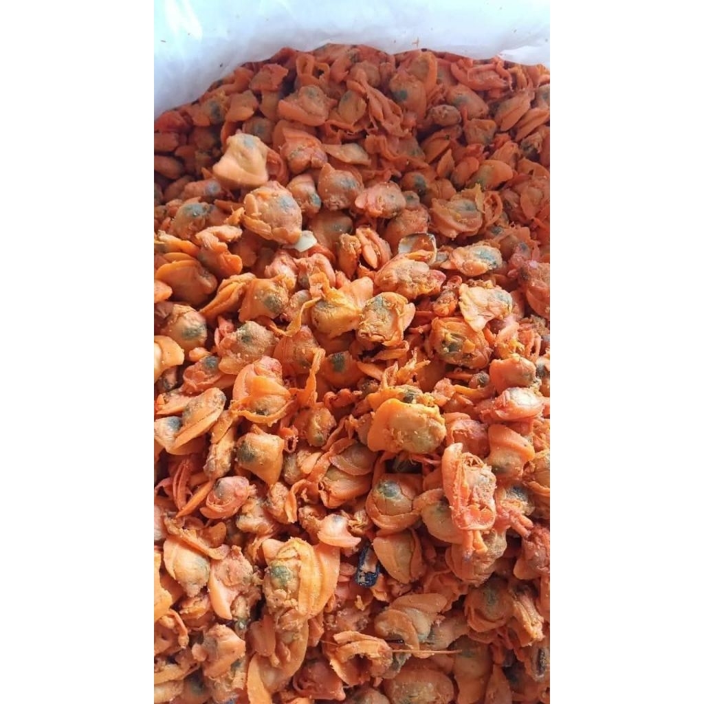 Kerang Kepah Asin 1 Kg – Kerang Asin Laut Segar – Ikan Asin Kerang Asli