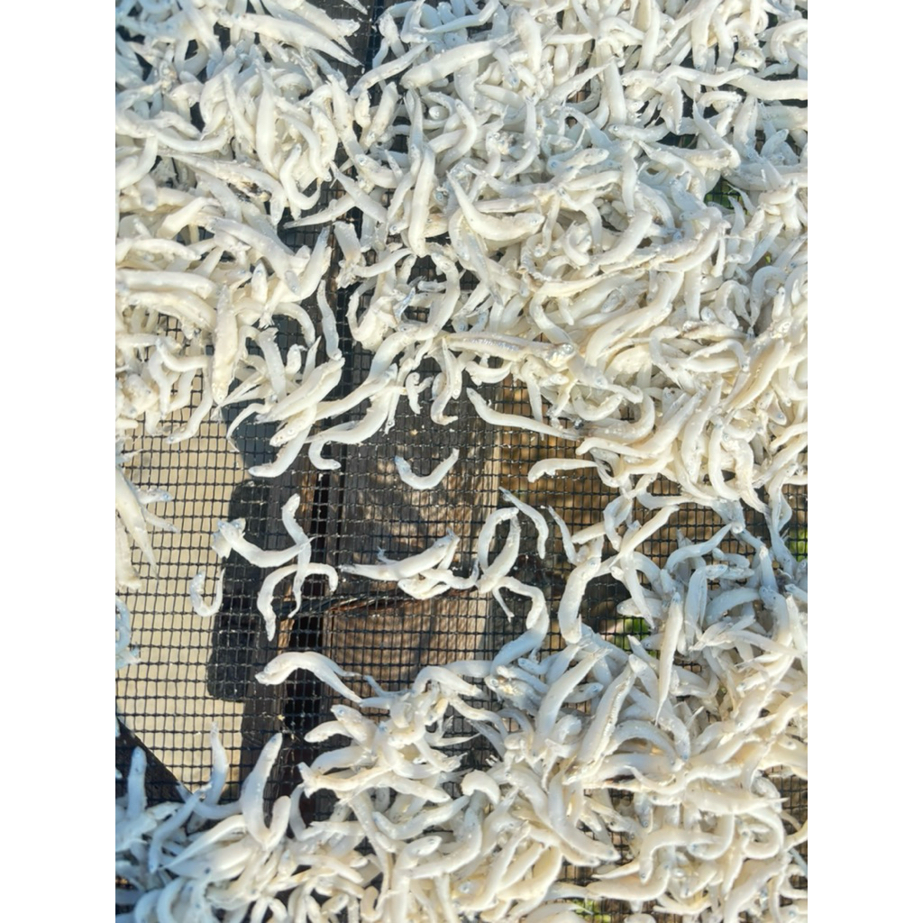 

Teri Nasi Medan 1000g