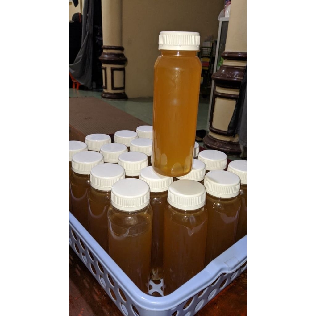 madu hutan asli sumatra