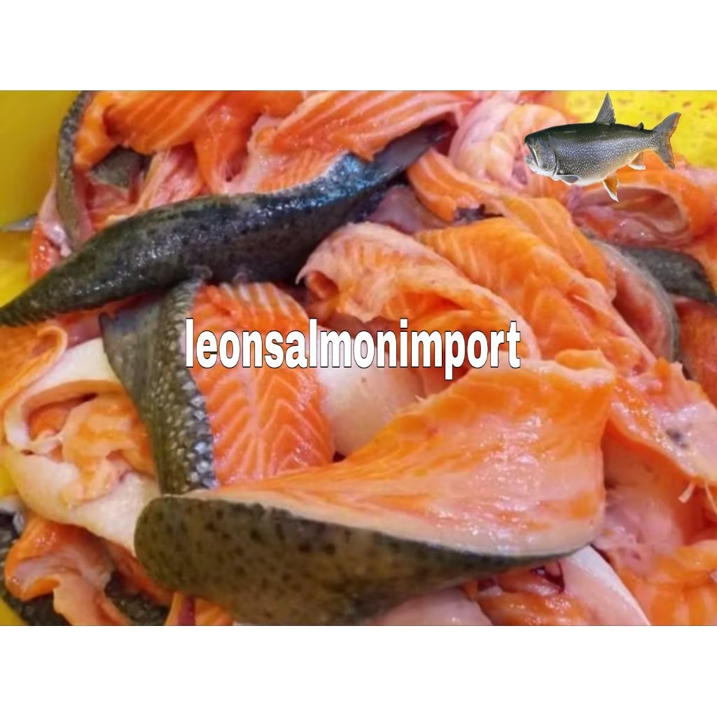 

Salmon Tetelan Murah 2 kg