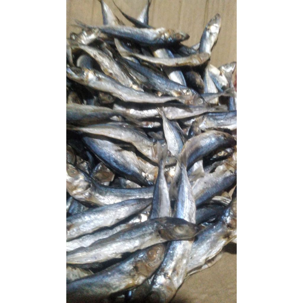 

Ikan gerih asin/klotok berat 250gr-1kg
