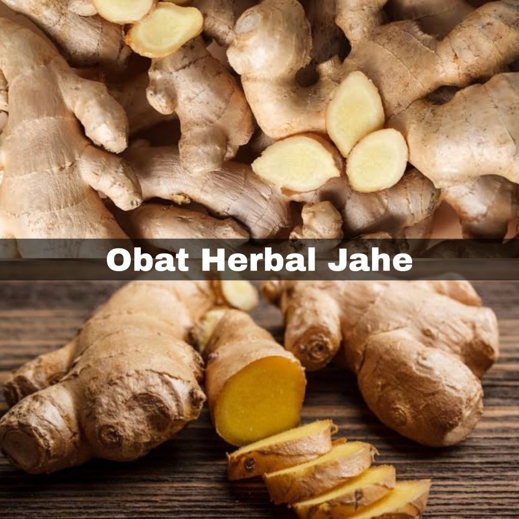 

jahe frash kemasan 250 gram segar tanpan bahan pengawet