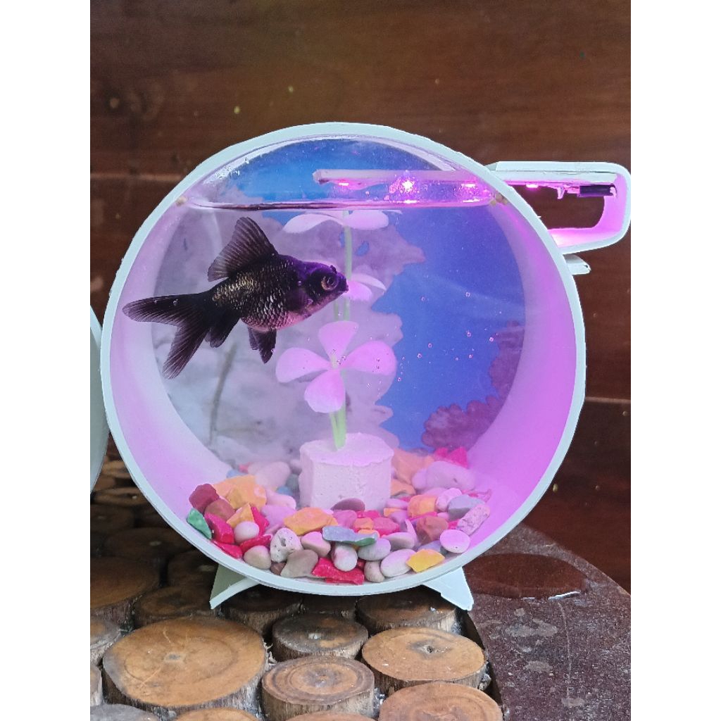 Aquarium mini model bulat / Hiasan meja kamar / Dekorasi Rumah / Aquarium Estetik / Tanaman Plastik